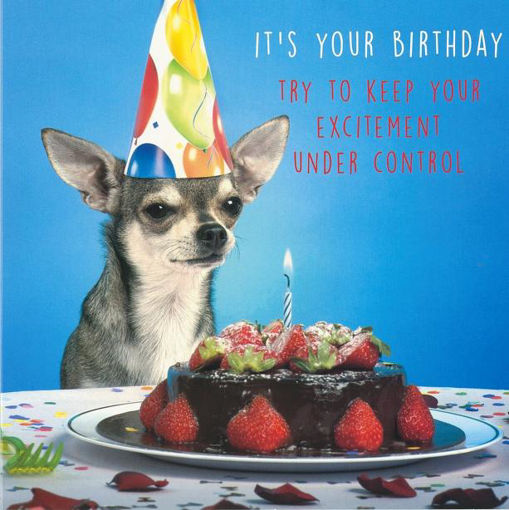 Picture of ITS YOUR BIRTHDAY CHIHUAHUA BIRTHDAY CARD